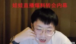 解说娃娃爆料视频,揭秘幕后故事与精彩瞬间